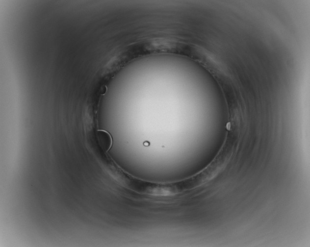 X0000115500751200911131321