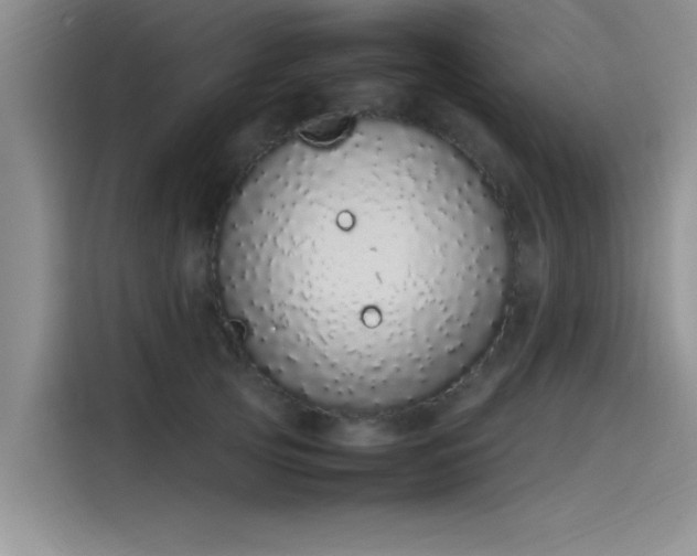 X0000115500753200911131321