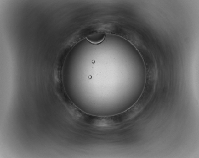 X0000115500755200911131321
