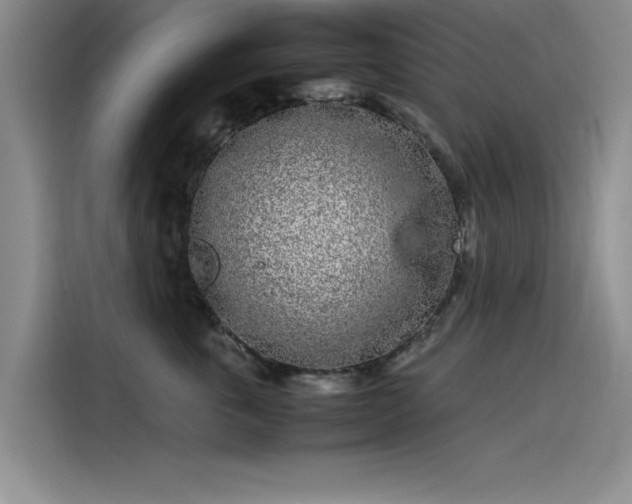 X0000115500763200911131321