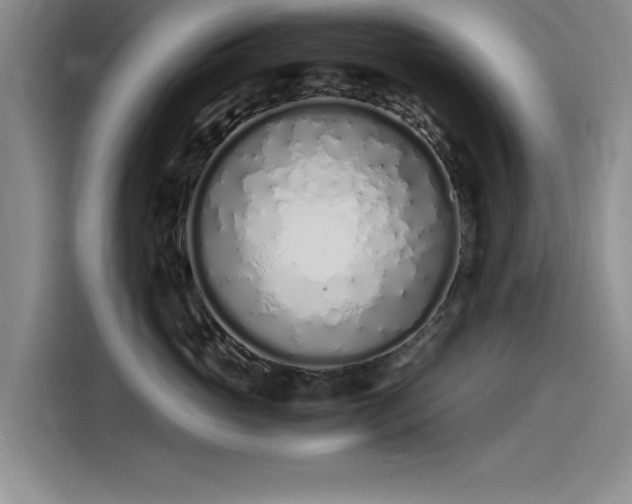 X0000115500765200911131321