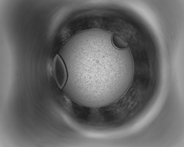 X0000115500766200911131321