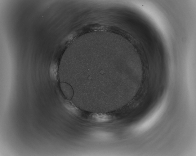 X0000115500767200911131321