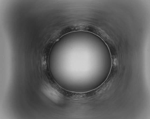 X0000115500771200911131320
