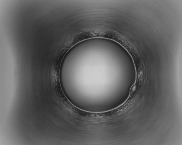 X0000115500772200911131320