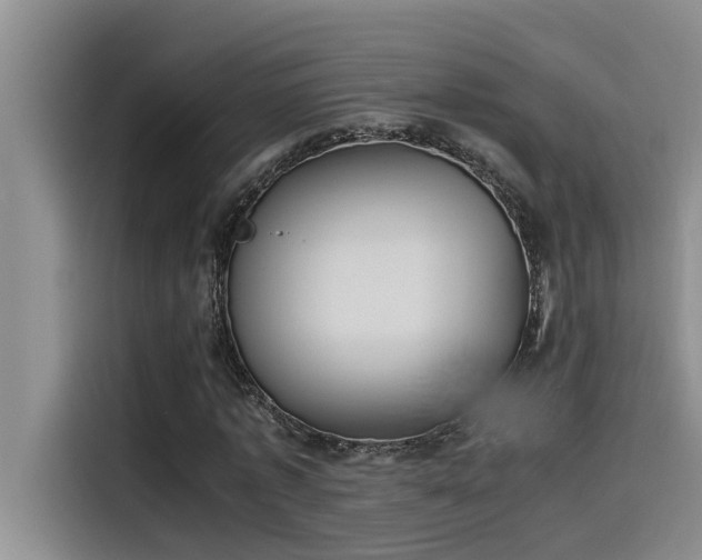 X0000115500773200911131320