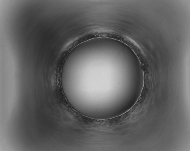 X0000115500775200911131320