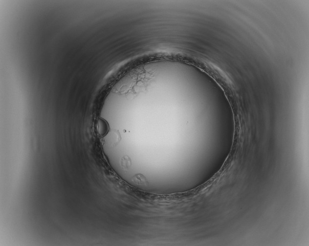 X0000115500776200911131320