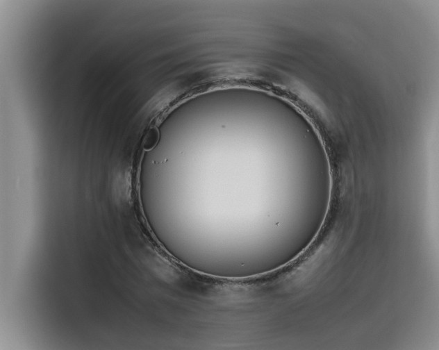 X0000115500777200911131320