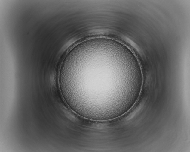X0000115500778200911131320