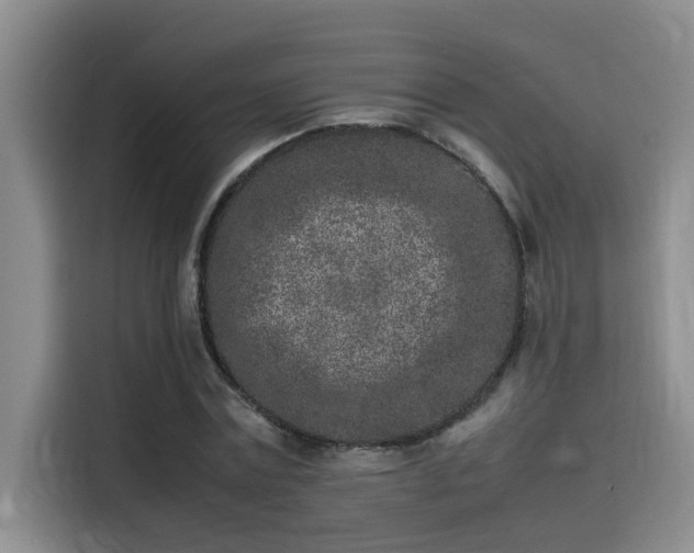 X0000115500779200911131320