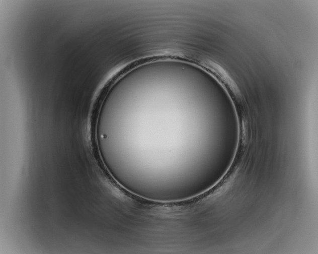 X0000115500780200911131320