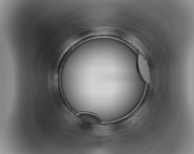 X0000115500781200911131320