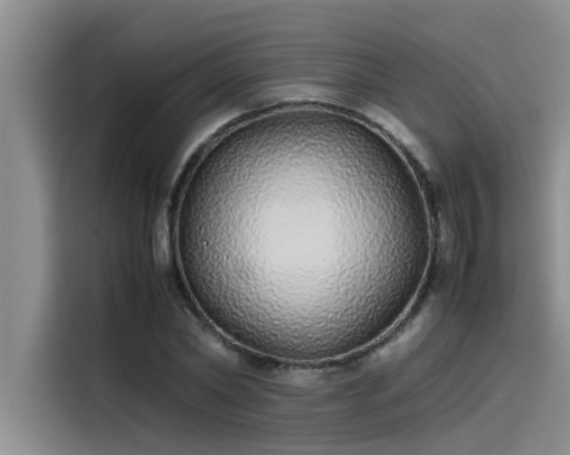 X0000115500782200911131320