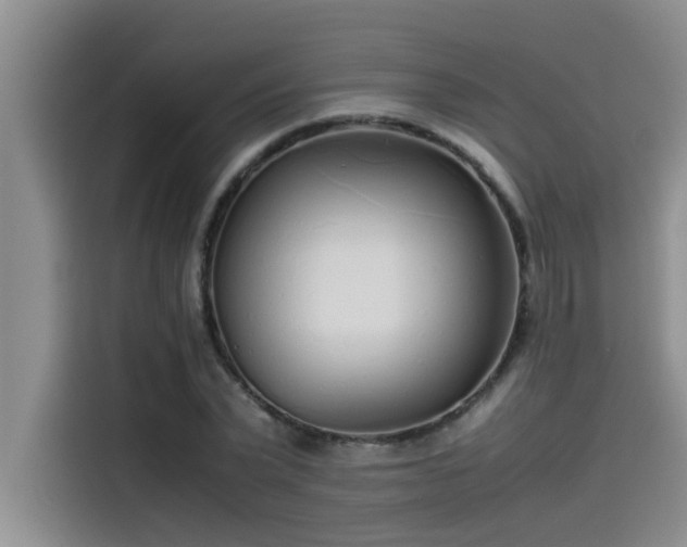 X0000115500783200911131320