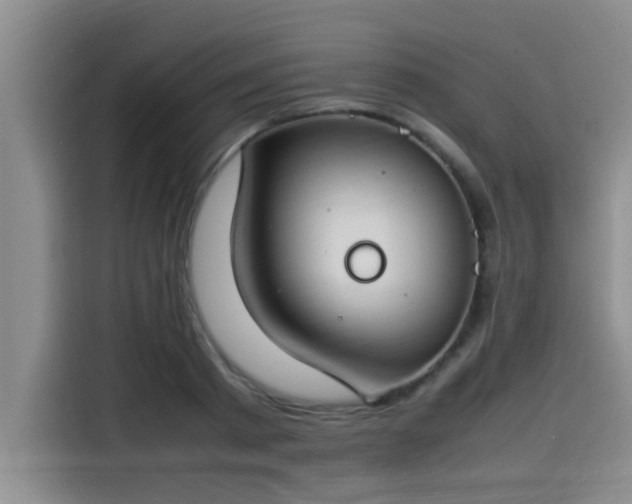 X0000115500793200911131320