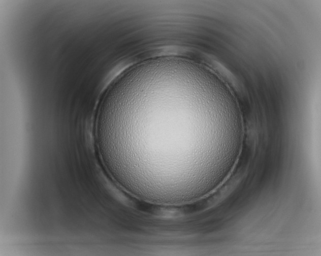 X0000115500794200911131320