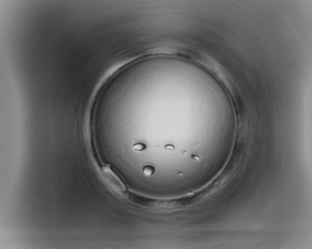 X0000115500795200911131320