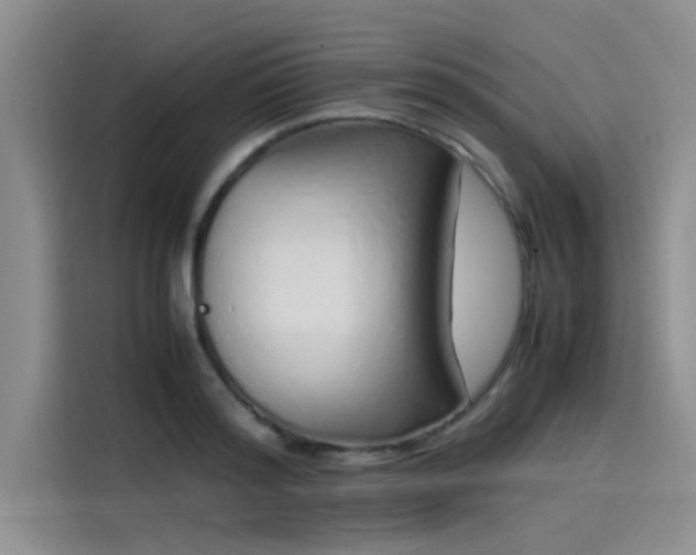 X0000115500796200911131320