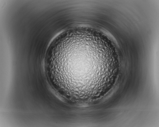 X0000115500798200911131320