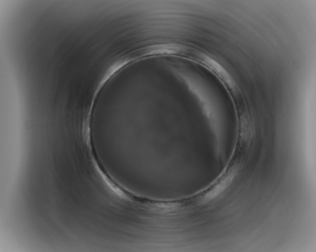 X0000115500802200911131320