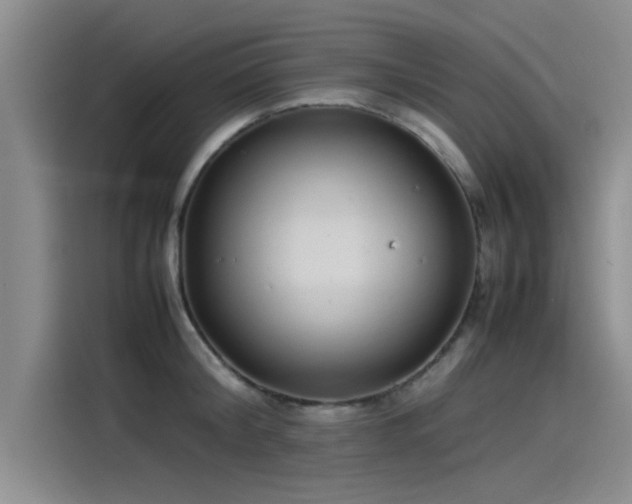 X0000115500804200911131320