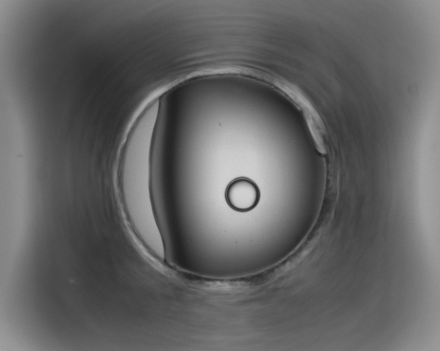 X0000115500805200911131320