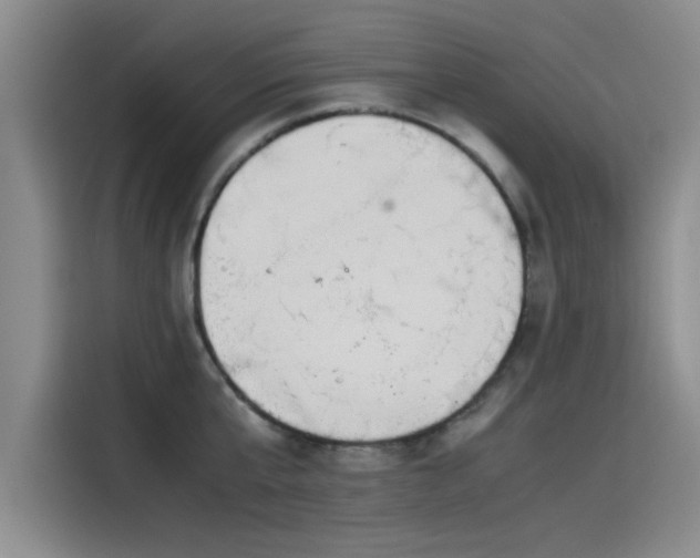 X0000115500807200911131320