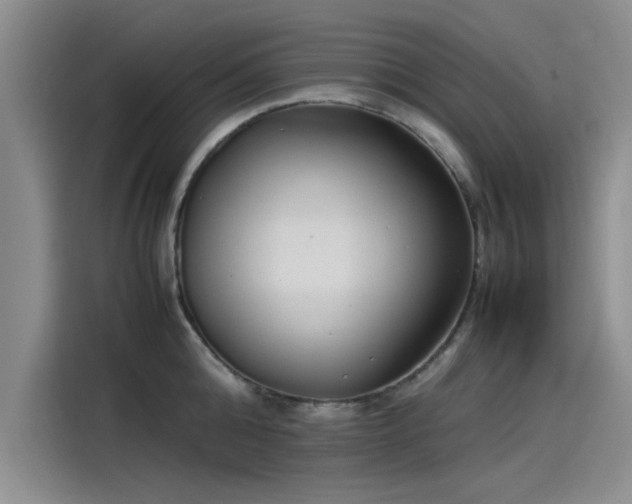 X0000115500808200911131320
