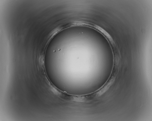 X0000115500809200911131320