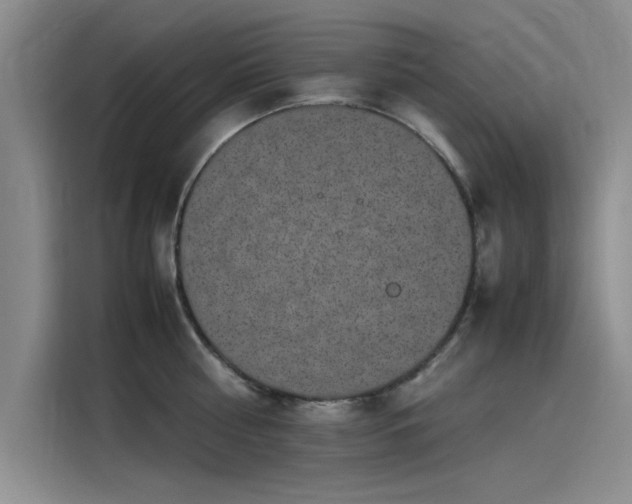 X0000115500810200911131320