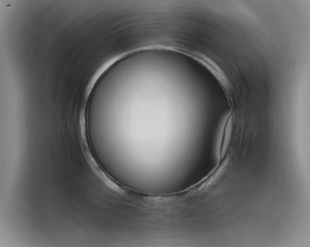 X0000115500812200911131320