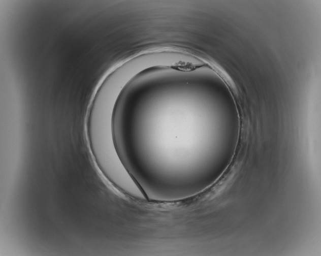 X0000115500813200911131320