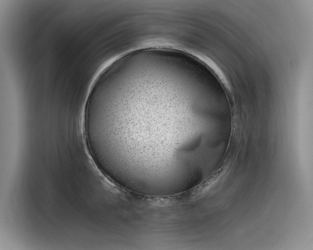 X0000115500815200911131320