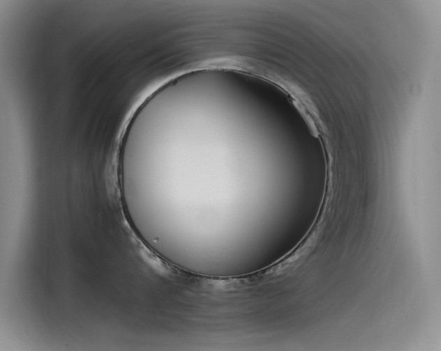X0000115500816200911131320