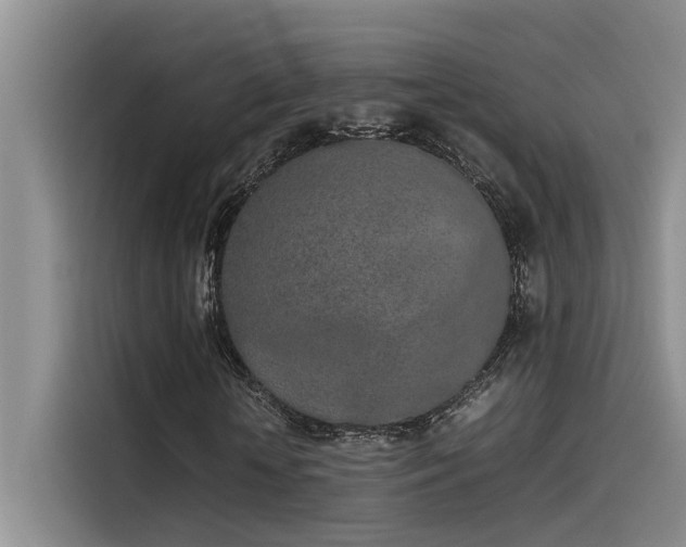 X0000115500818200911131319