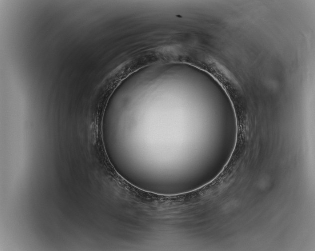 X0000115500821200911131319