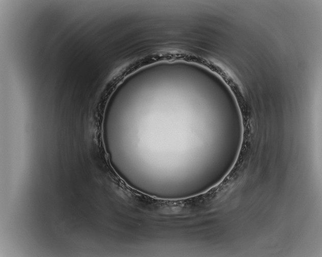 X0000115500823200911131319