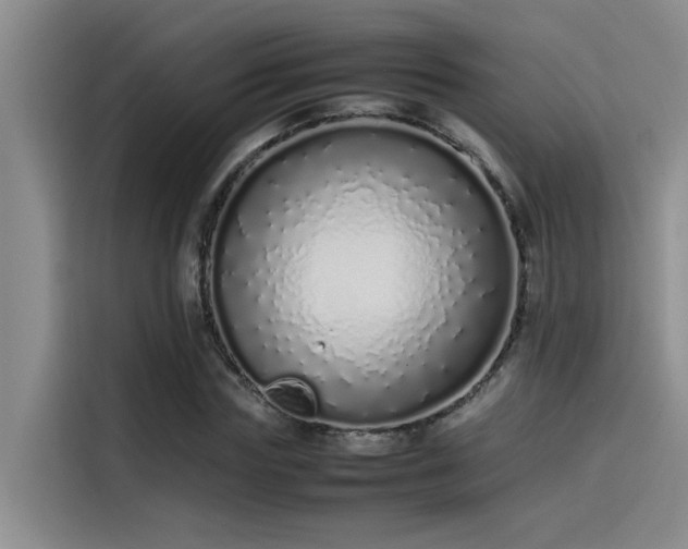 X0000115500827200911131319