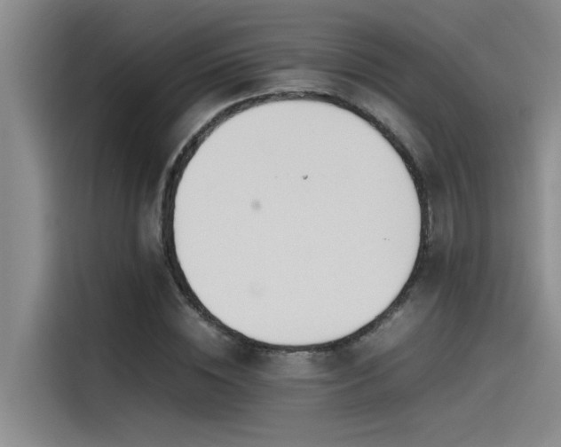 X0000115500828200911131319