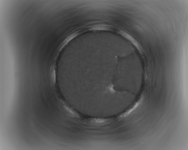 X0000115500829200911131319