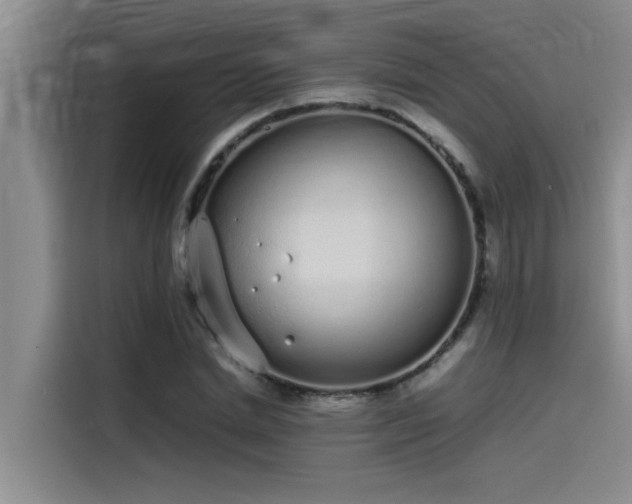 X0000115500830200911131319