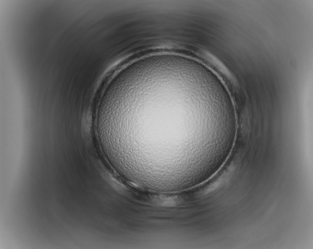 X0000115500831200911131319