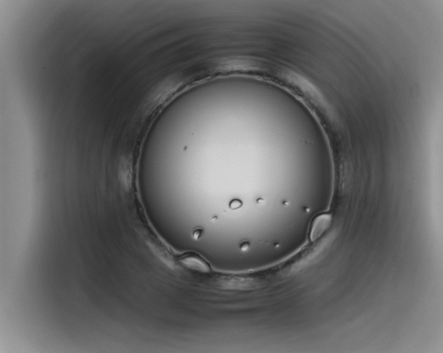 X0000115500833200911131319