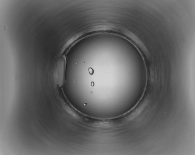 X0000115500834200911131319