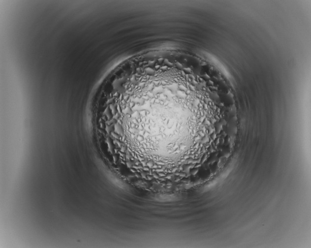 X0000115500835200911131319