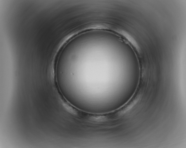 X0000115500837200911131319