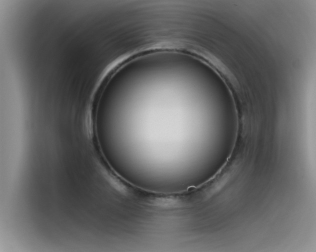 X0000115500838200911131319