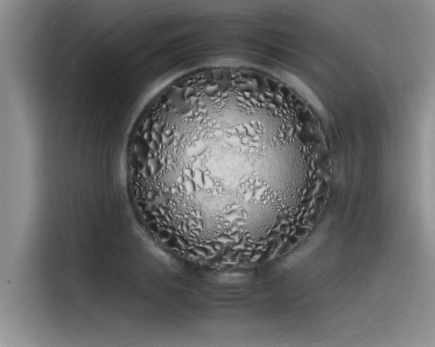 X0000115500839200911131319