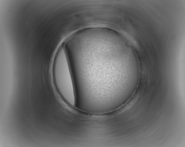 X0000115500840200911131319
